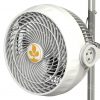 30W monkey fan