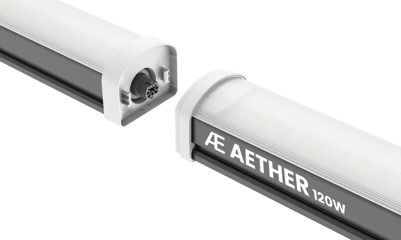 aether undercanopy